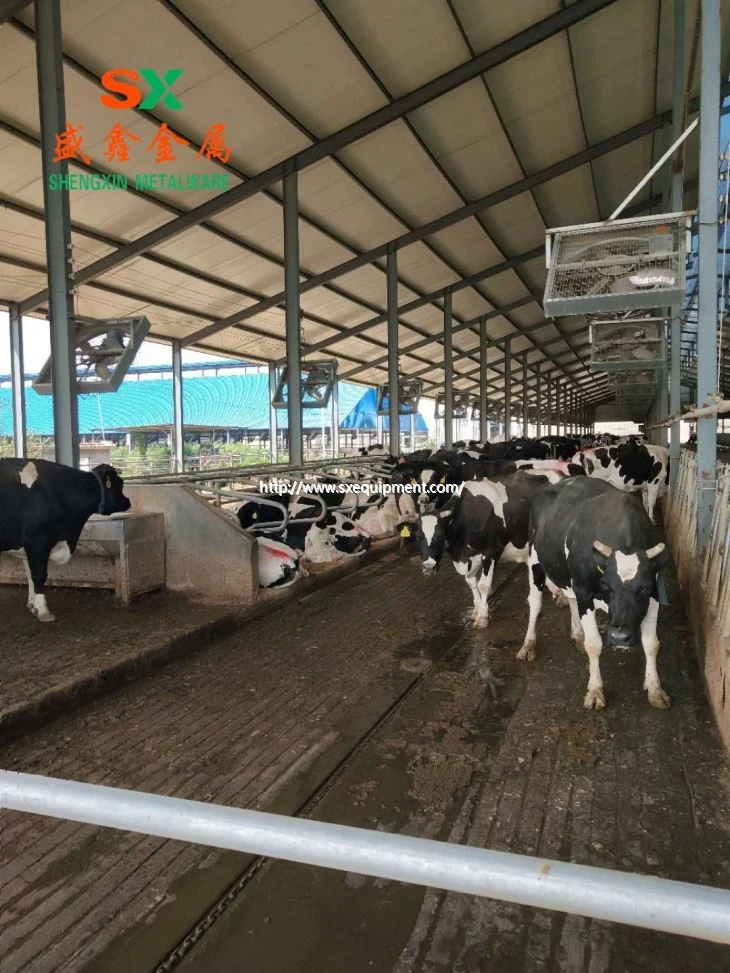 Biscottu stalla libera per l'equipaggiu di l'agricultori
