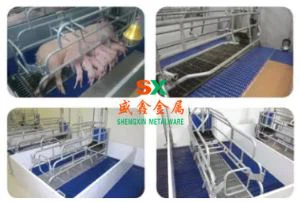 Catecora di porci è porciali di porcu cun pvc fence lesstoken macchine