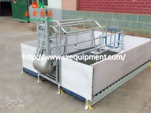 Cate di forza di piattu di equipaghjoli di splutazione